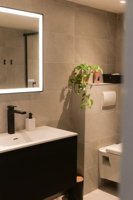 Apartmán Hypercentre Rue Pietonne Au Calme Toulouse Exteriér fotografie